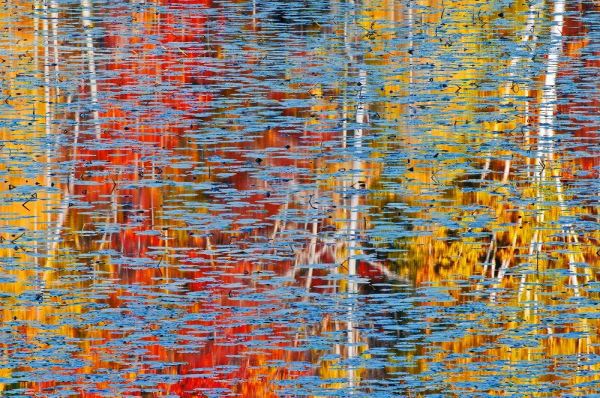 Canada, Ontario, Minden Autumn reflects in pond